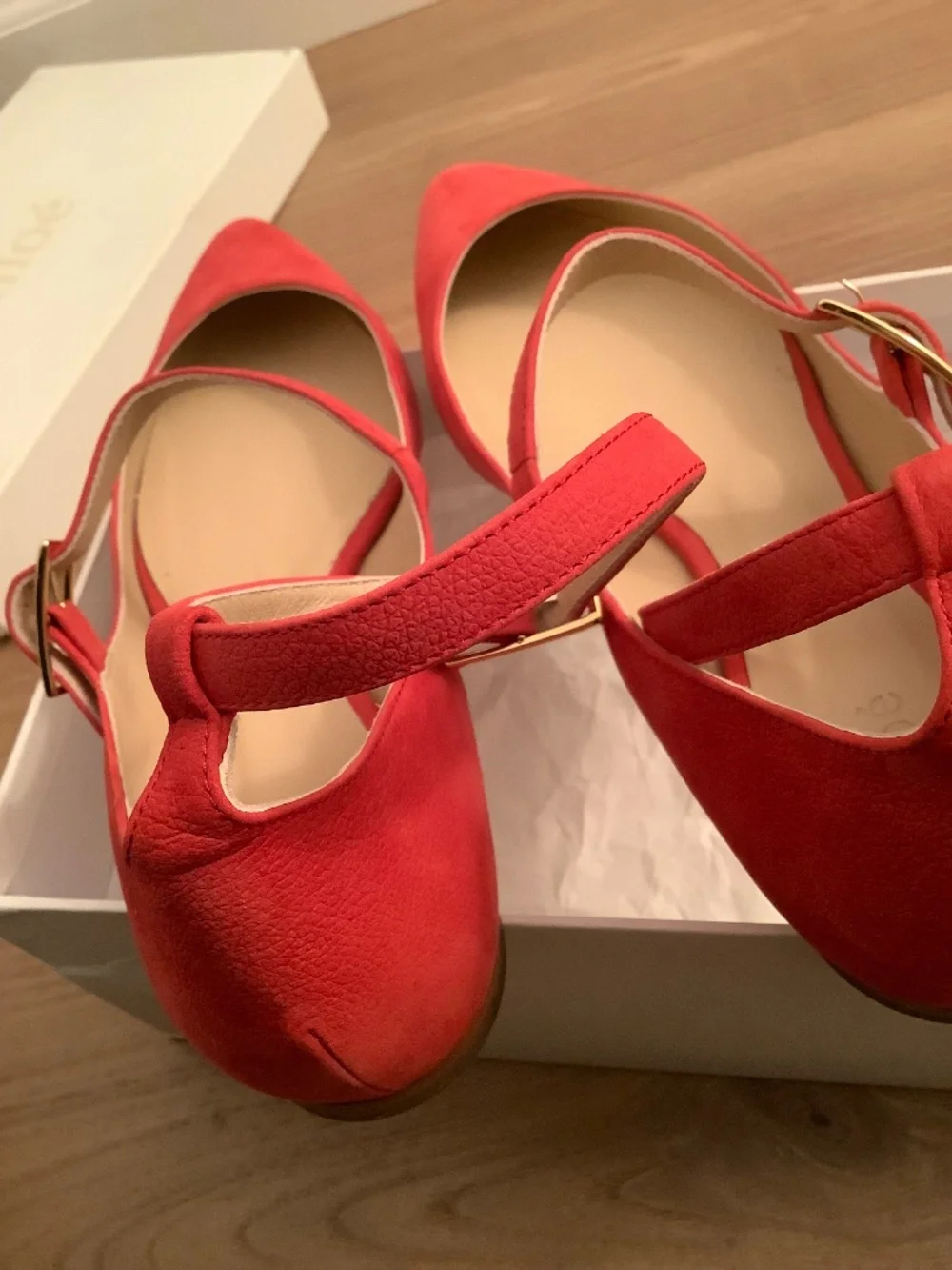 Chloe Ankle Strap Flats